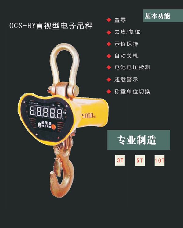 开云手机站官方版网站登录入口,长沙电动葫芦,长沙钢丝绳,电子吊秤哪里的好